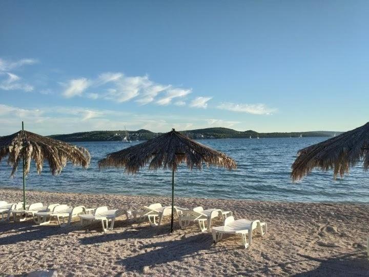 Zulim Trogir